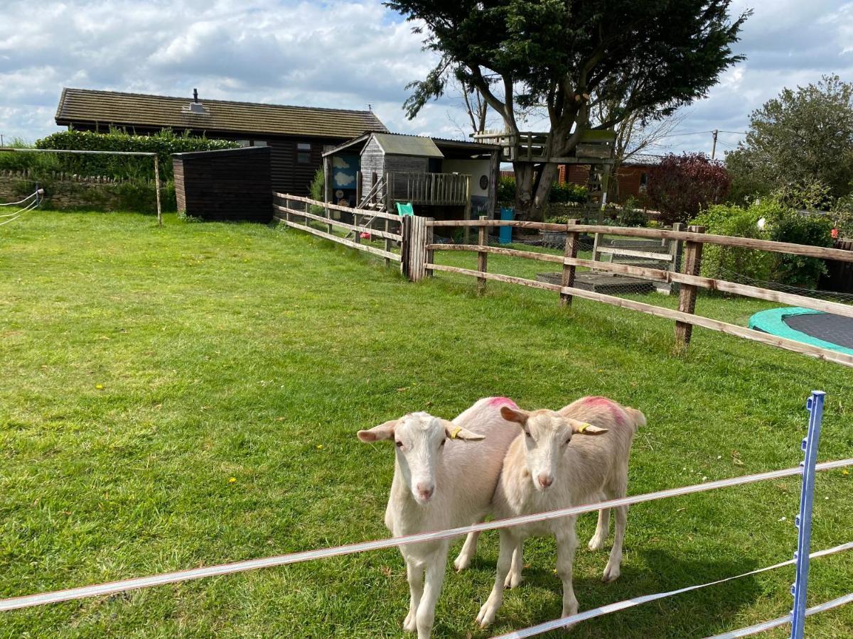 Rew Farm Country And Equestrian Accommodation - Sunset Lodge Melksham Exterior photo